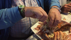 brest-2016-comment-decortiquer-le-coeur-du-crabe-en-une-minute